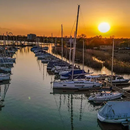 Pegazus * ケストヘイ