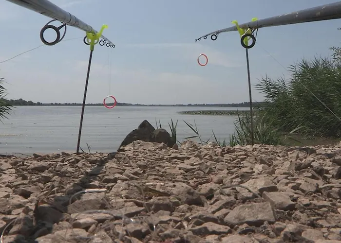 アパート Pegazus